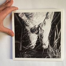 ‘Artista - self produced fanzine . Art Direction, Collage, Creativit, and Narrative project by Laura Bernard - 04.25.2021