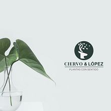 Ciervo & López | Plantas con Sentido. Design, and Traditional illustration project by Sergio Toro - 04.26.2021