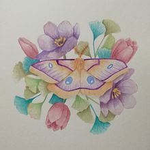 Mi Proyecto del curso: Dibujo y composición naturalista en acuarela. Un progetto di Pittura ad acquerello di cmarceh_art - 26.04.2021