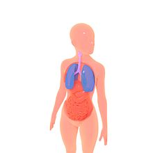 Ilustraciones 3D médicas.. Un proyecto de Ilustración tradicional, 3D y Multimedia de J. Miguel Gallardo - 27.04.2021