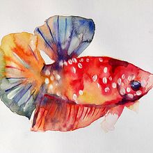 My project in Experimental Watercolor Techniques for Beginners course. Traditional illustration, and Artistic Drawing project by Małgorzata Chustecka - 04.29.2021
