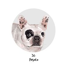 POROTO. Traditional illustration, Drawing, Digital Illustration, and Artistic Drawing project by Eleonora Galdós - 10.01.2020