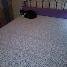 My first bedspread. Crochet project by Assuncao (Sue) Medeiros - 09.19.1989