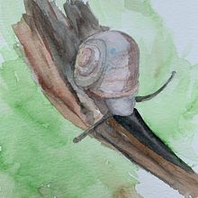 My project in Illustrating Nature: A Creative Exploration course. Watercolor Painting project by Joe Azzato - 04.30.2021