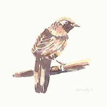 Mi Proyecto del curso: Técnicas experimentales de acuarela para principiantes . Un proyecto de Ilustración tradicional de Marie de Smet - 30.03.2021