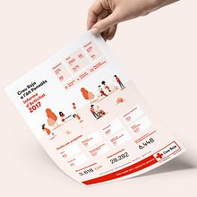 Diseño de infografía / Creu Roja a l'alt Penedès, Barcelona Ein Projekt aus dem Bereich Traditionelle Illustration, Grafikdesign und Infografik von Hoy es el día - 10.12.2018