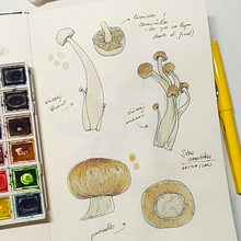 Mi Proyecto del curso: Cuaderno botánico en acuarela. Botanical Illustration, Watercolor Painting, and Sketchbook project by Niabellum - 04.30.2021
