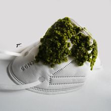 The Nature takes over . Un projet de Broderie de Justyna Wiesek - 01.05.2021