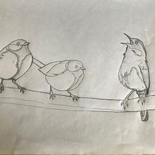 My project in Artistic Watercolor Techniques for Illustrating Birds course. Ilustração tradicional, Pintura em aquarela, Desenho realista e Ilustração naturalista projeto de Sheila Smart - 02.05.2021