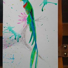 My project in Artistic Watercolor Techniques for Illustrating Birds course. Watercolor Painting, Traditional illustration, Realistic Drawing, and Naturalistic Illustration project by Edit Mason - 04.30.2021