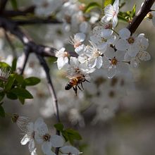 Il mio progetto del corso: Fotografia di paesaggi e natura. Outdoor Photograph, Photograph, Instagram Photograph, Documentar, Photograph, and Photographic Composition project by Giada Missora - 05.02.2021
