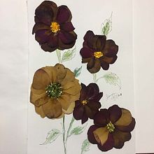 Flower Power. Projekt z dziedziny Concept art i Craft użytkownika Shivangi Dwivedi - 02.05.2021