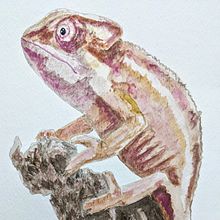 My project in Illustrating Nature: A Creative Exploration course. Watercolor Painting, Traditional illustration, Painting, Drawing, Ink Illustration, and Naturalistic Illustration project by Maddy Edgington - 05.02.2021