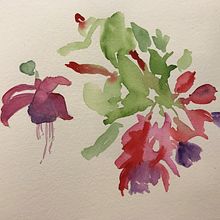 My project in Illustrating Nature: A Creative Exploration course. Un progetto di Disegno, Sketchbook e Pittura ad acquerello di Susan Singer - 04.05.2021