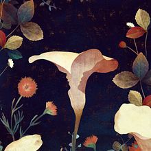 Donal Ryan - Book Covers for Collected Novels . Ilustrasi tradisional, Dan Desain Grafis proyek oleh Owen Gent - 05.04.2021