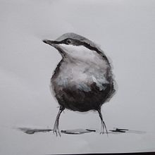 My project in Artistic Watercolor Techniques for Illustrating Birds course. Projekt z dziedziny Trad, c i jna ilustracja użytkownika Veronika - 04.05.2021