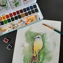 Pássaro 1. Un proyecto de Pintura a la acuarela e Ilustración tradicional de Ioná Vasconcelos Amaral Santos - 04.05.2021