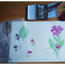 Mi Proyecto del curso: Ilustración botánica con acuarela. Botanical Illustration project by Clara Sala - 05.04.2021