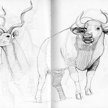 Animals. 2D Animation, Animation, Editorial Illustration, and Traditional illustration project by Sebastián García Muñoz - 05.04.2021