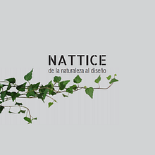 NATTICE, de la naturaleza al diseño. . Architecture, Interior Architecture, and 3D Design project by Nayeli Martínez - 02.22.2021