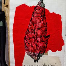 Sketchbook 1. Botanical Illustration, Drawing, Fine Arts, Traditional illustration, Ink Illustration, Instagram, Sketchbook, and Sketching project by Khairulsani Ismail - 05.05.2021