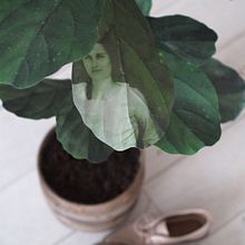 Roommates. 3D, Sculpture, and Fine-Art Photograph project by Miranda van Dijk - 05.05.2021