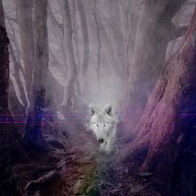 Mi Proyecto del curso: Mystic dream wolf . Compoziție fotografică de María Belén Ibarra - 05.05.2021