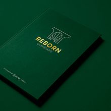Reborn. Art Direction, Editorial Design, Graphic Design, Pattern Design, and Logo Design project by Norman Pons - 05.05.2021