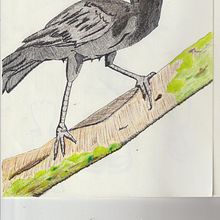 Mi Proyecto del curso: Relatos ilustrados: de la idea al papel. Traditional illustration project by Giovanni Molina - 05.06.2021