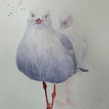 My project in Artistic Watercolor Techniques for Illustrating Birds course . Ilustrație tradițională, Pictură în acuarelă, Desen realist & Ilustrație naturalistă de monica_jarnkvist - 05.06.2021