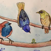 My project in Artistic Watercolor Techniques for Illustrating Birds course. Un proyecto de Ilustración tradicional de Annie Sylling - 06.05.2021