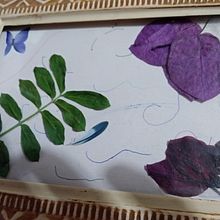 Mi Proyecto del curso: Técnicas básicas de prensado botánico. Projekt z dziedziny Craft użytkownika Cinthya Reyes Cruz - 09.05.2021