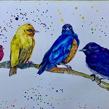 My project in Artistic Watercolor Techniques for Illustrating Birds course. Projekt z dziedziny Trad, c i jna ilustracja użytkownika Vera Steury - 30.04.2021