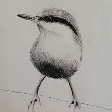 My project in Artistic Watercolor Techniques for Illustrating Birds course. Un proyecto de Pintura a la acuarela de Monique van Dam - 07.05.2021