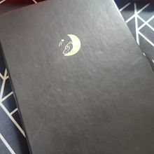 My First Bullet Journal! Ein Projekt aus dem Bereich Traditionelle Illustration von Teri - 28.04.2021