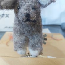 Mi Proyecto del curso: Creación de animales con needle felting. Arts, Crafts, To, Design, and Fiber Arts project by Paty Monsell - 04.06.2021