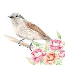 Mi Proyecto del curso: Ilustración naturalista de aves con acuarela. Fine Arts, and Painting project by Catherine Andrea Catalán Sarmiento - 05.06.2021