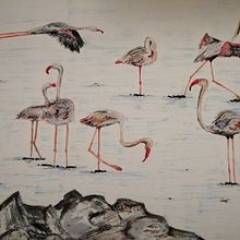 Fenicotteri. Un projet de Dessin artistique, Illustration traditionnelle et Illustration naturaliste de Alice Baldin - 08.05.2021