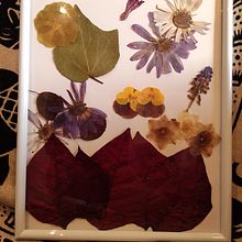 Mi Proyecto del curso: Técnicas básicas de prensado botánico. Een project van  Creativiteit van sandymmster - 08.05.2021