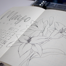Mi Proyecto del curso: Introducción al bullet journal ilustrado. DIY, and Lettering project by Diana C Vargas G - 05.08.2021