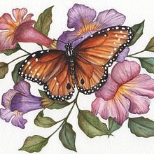 Mi Proyecto del curso: Dibujo y composición naturalista en acuarela. Projekt z dziedziny  Sztuki piękne użytkownika Silvia Liliana Garavagno - 09.05.2021