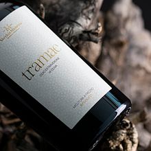 Tramæ Organic EVO oil . Br, ing, Identit, Lettering, and Packaging project by Rosario Lo Iacono - 04.09.2021