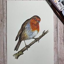 My project in Artistic Watercolor Techniques for Illustrating Birds course. Un proyecto de Pintura de Shan - 06.05.2021