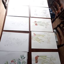 The  Flower Shop. Traditional illustration project by Cliona Ryan - 05.09.2021