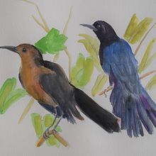 My project in Illustrating Nature: A Creative Exploration course. Traditional illustration project by Sharon Guy - 05.11.2021