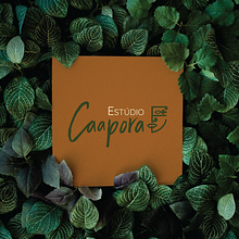 Identidade Visual - Estúdio Caapora. Br, ing e Identidade, Direção de arte, Design editorial, Design gráfico, Lettering, Naming, e Criatividade projeto de estudiocaapora - 16.10.2020