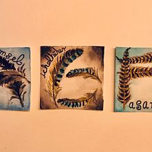 Reihen für mein Portfolio . Un progetto di Illustrazione tradizionale di Stefanie Hesel - 12.05.2021