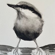 Vogel-Illustration. Traditional illustration project by Therese Keller - 05.12.2021