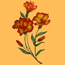A flor como inspiração. Traditional illustration project by Paula Melo - 05.11.2021