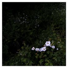 circular movement in search of green-water color. Photograph project by Adelino Pinheiro da Silva - 05.05.2021